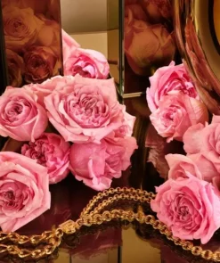 Dolce & Gabbana The One Gold