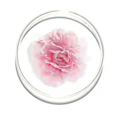 Lancome Hydra Zen