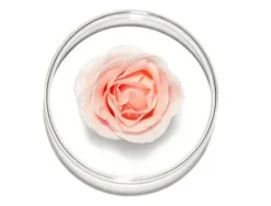 Lancome Hydra Zen