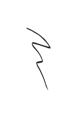 Shiseido ArchLiner Ink