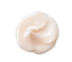Shiseido Bio-Performance Advanced Super Revitalizing Cream