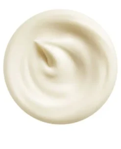 Shiseido Vital Perfection Intensive WrinkleSpot Treatment