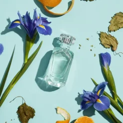 Tiffany & Co Tiffany