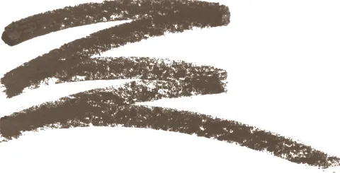 Wet n Wild Color Icon Brow Pencil