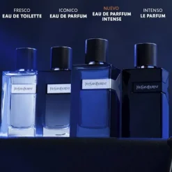 Yves Saint Laurent Y Men
